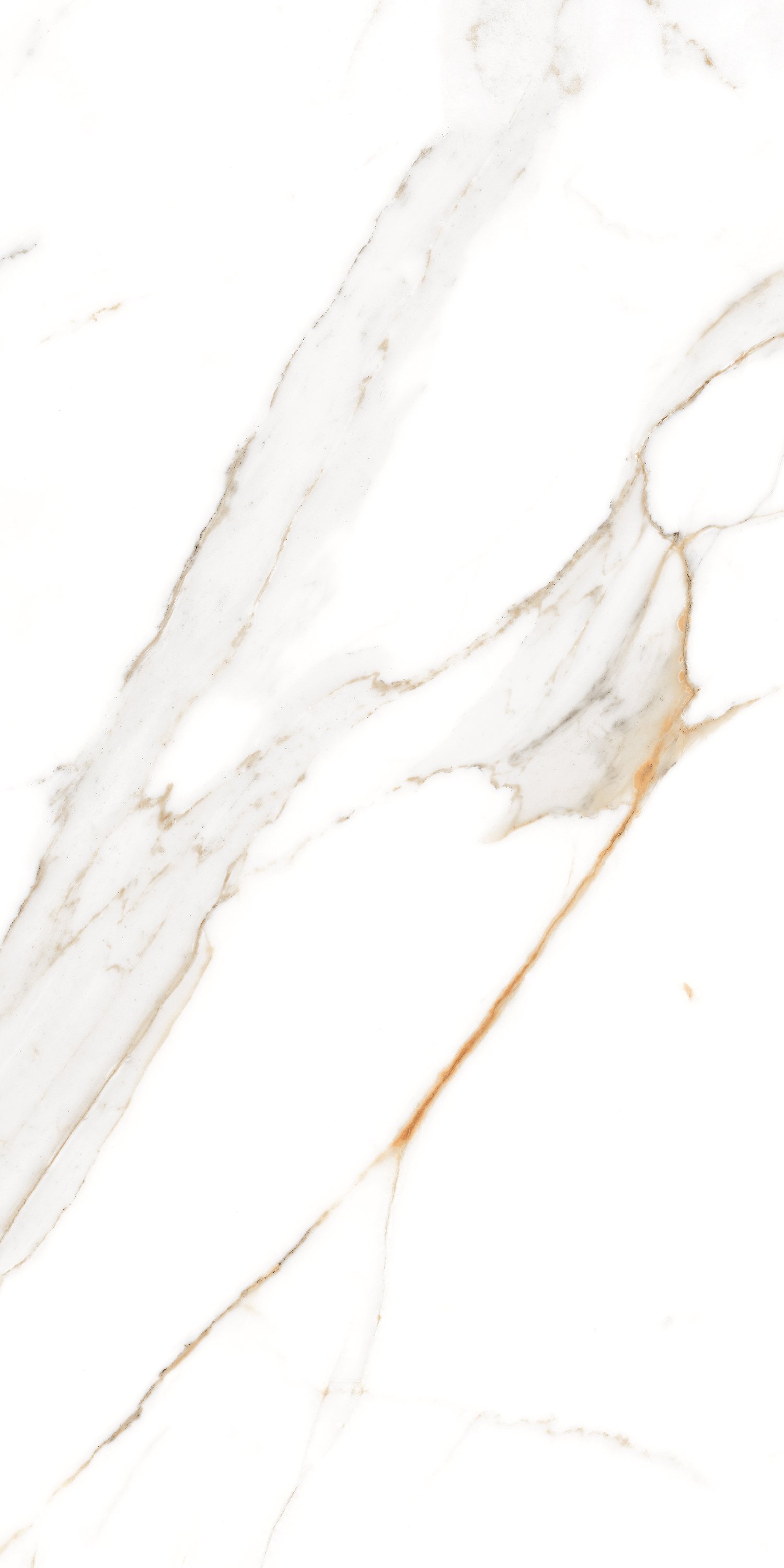 REGAL WHITE
