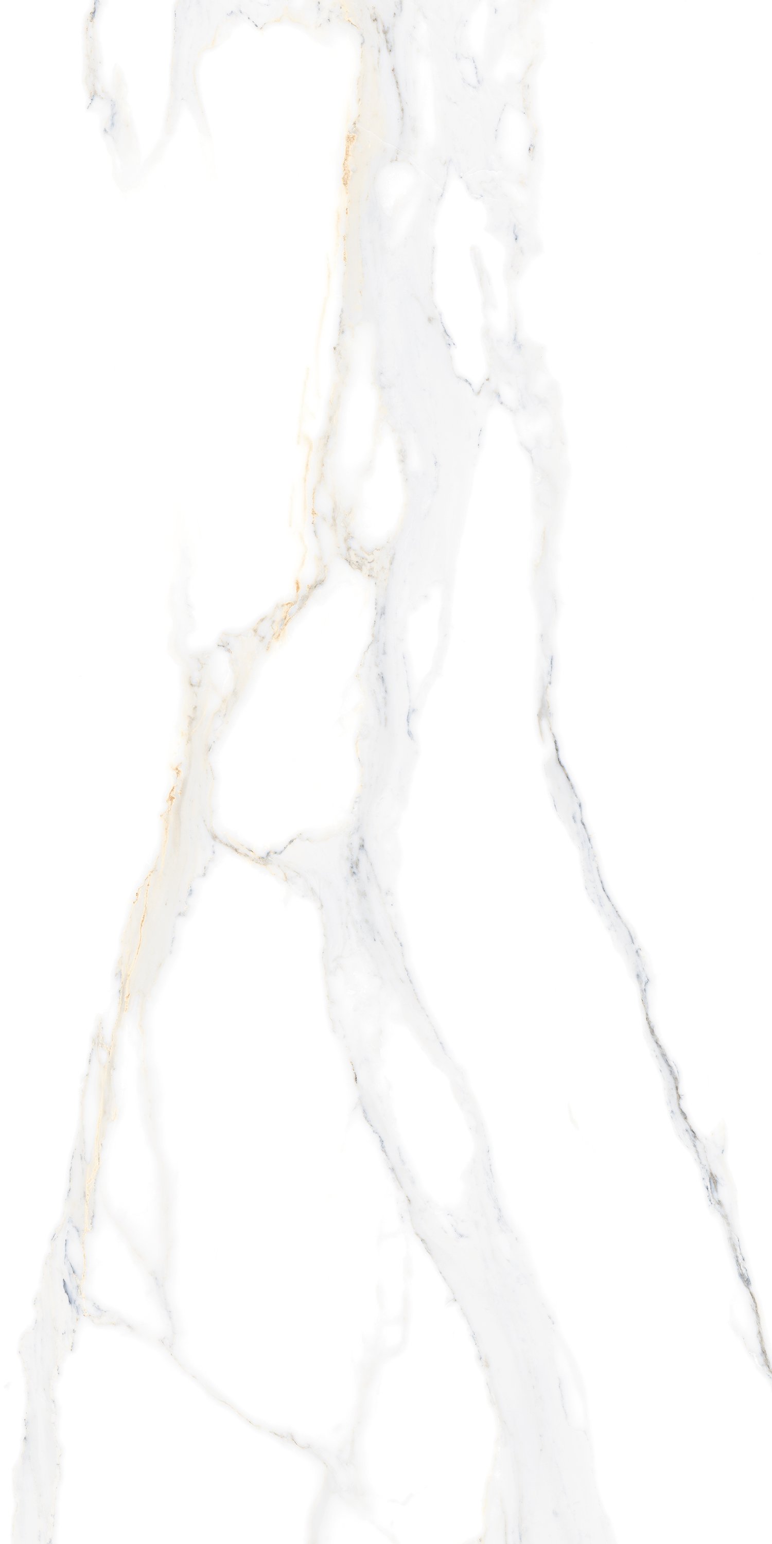 RIGHTO WHITE