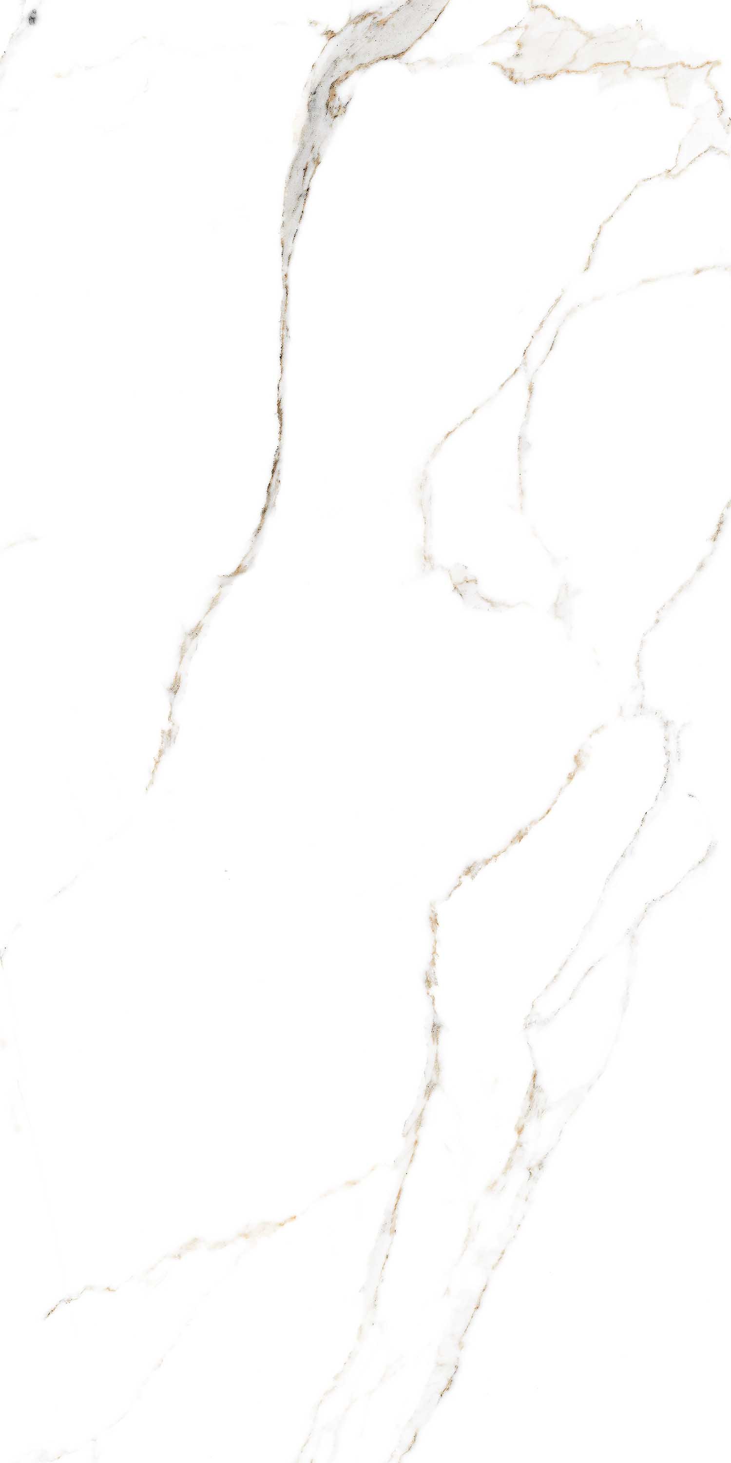 STATURIO LUX