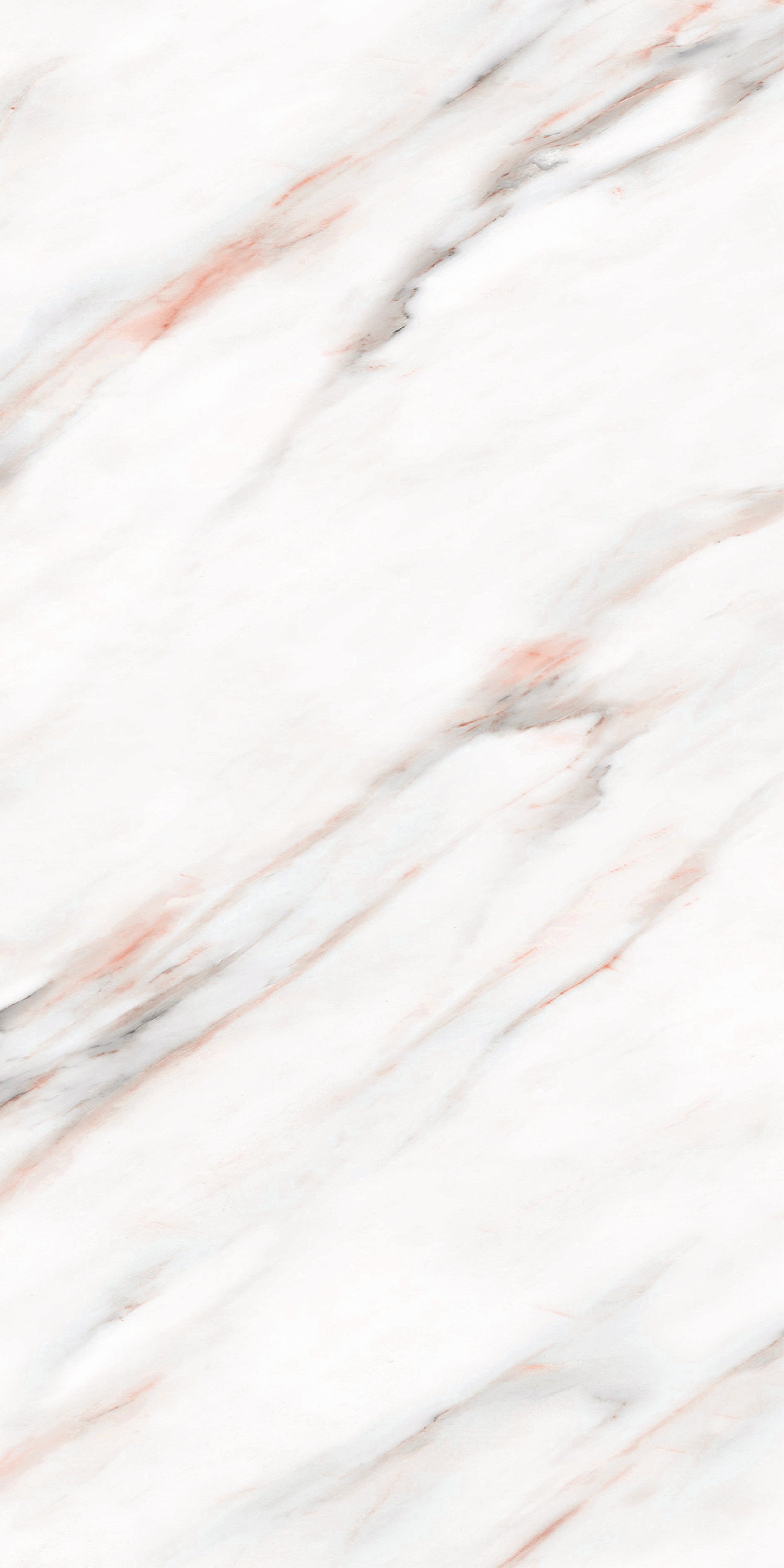 ESCATO SATVARIO ROSE