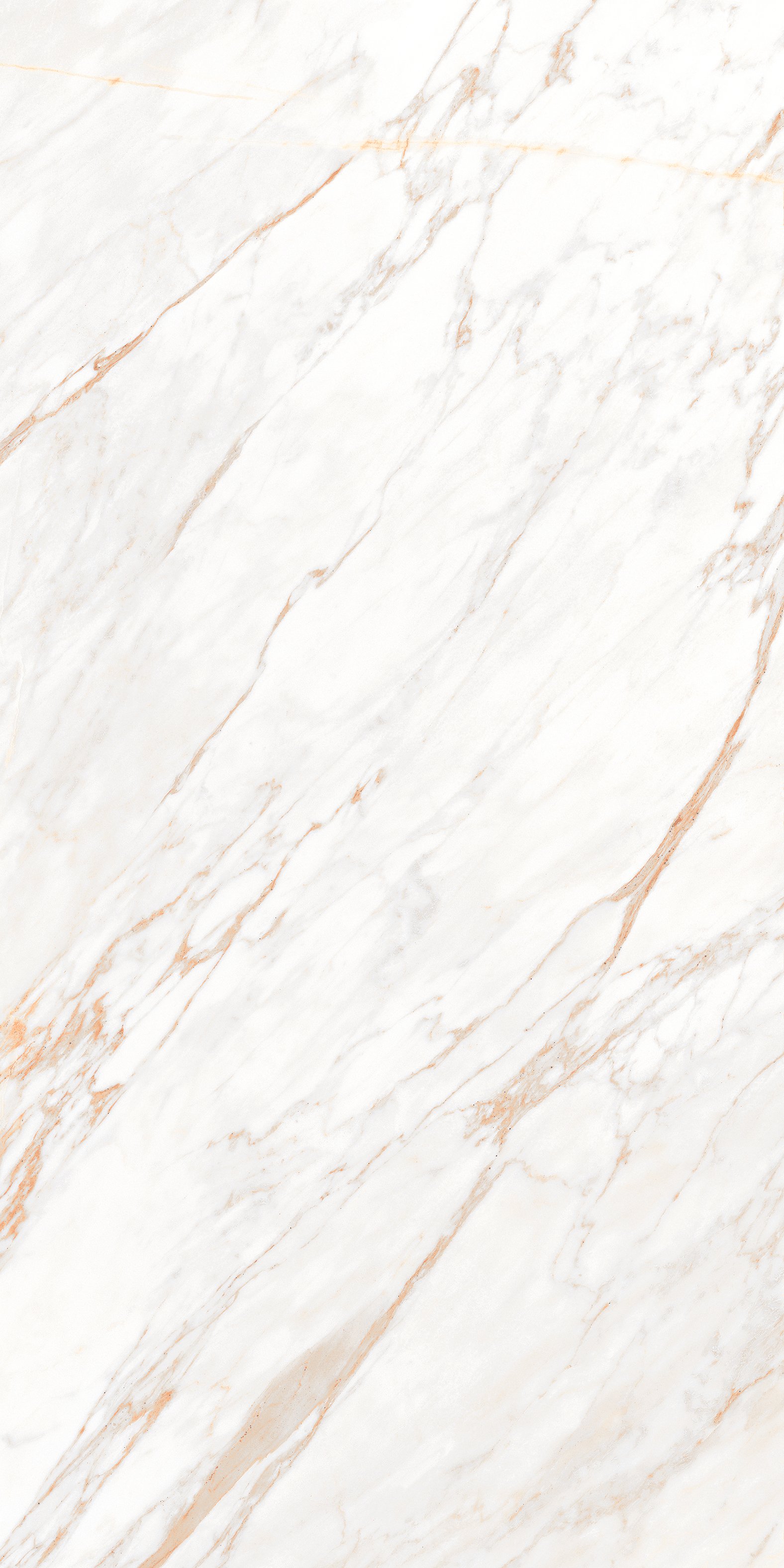 LAZURO RED