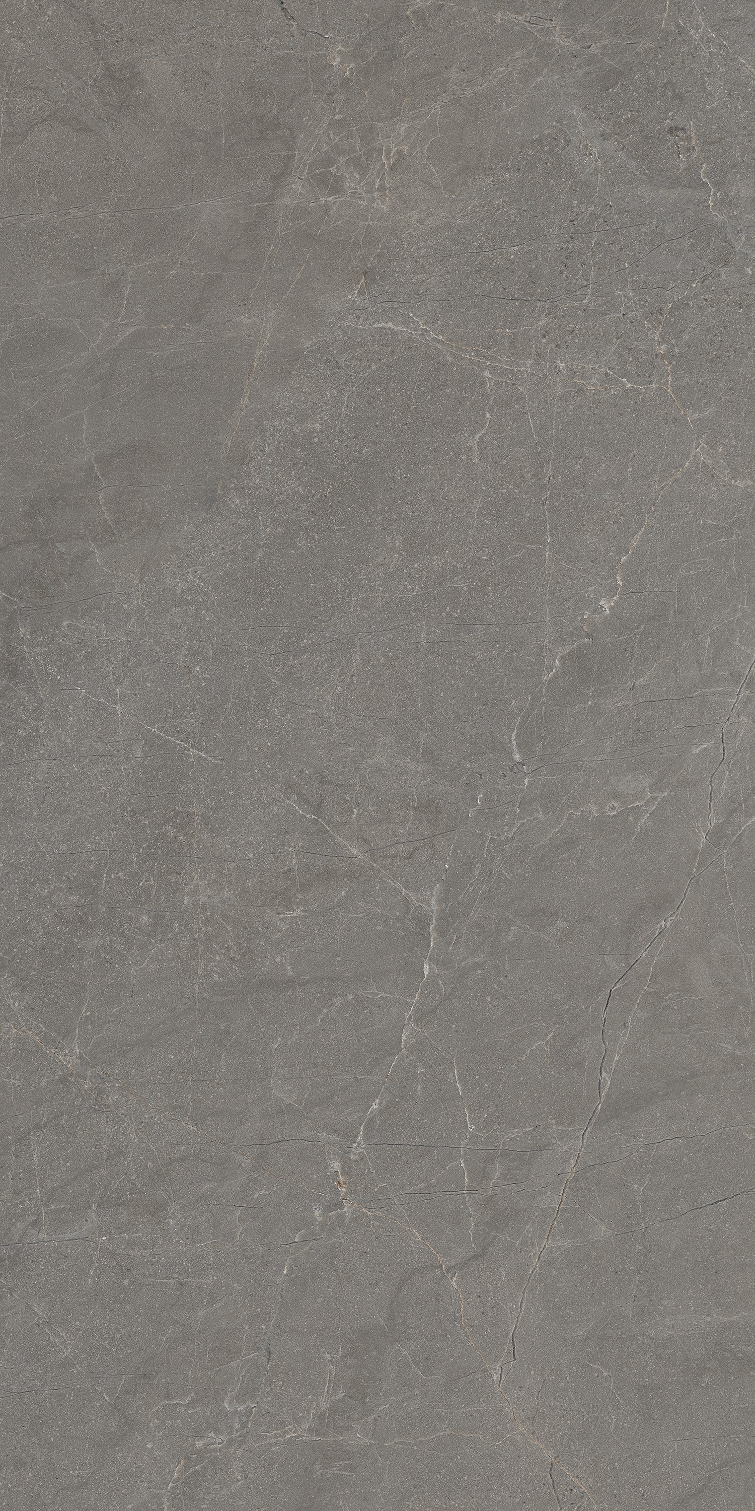 PACIFIC GREY